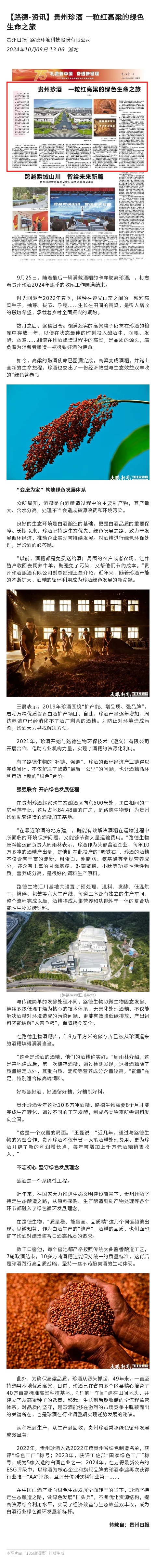 贵州珍酒 一粒红高粱的绿色生命之旅.jpg